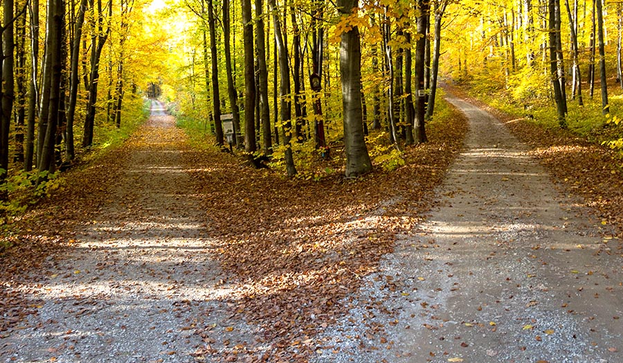 Meditation: Entscheidungen treffen (hier meditieren)