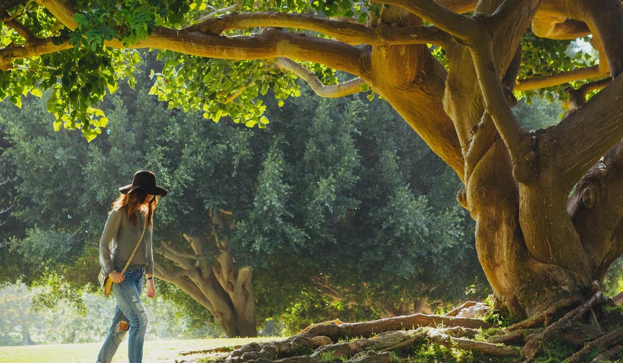 Meditation: Urvertrauen (hier meditieren)