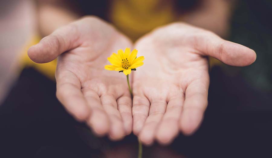 Meditation: Schwächen annehmen (hier meditieren)